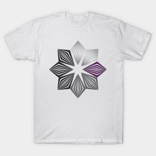 Demisexual Pride Flag Colored Geometric Starburst T-Shirt